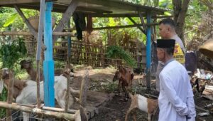 Polsek Batulayar Dorong Ketahanan Pangan Warga Senggigi melalui Edukasi Pertanian