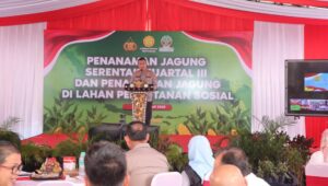 Ketahanan Pangan NTB, Polda dan Pemda Tanam Jagung Serentak di Lombok Barat
