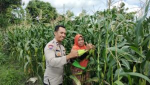 Pekarangan Produktif, Desa Aman: Inisiatif Ketahanan Pangan Bhabinkamtibmas Labuapi