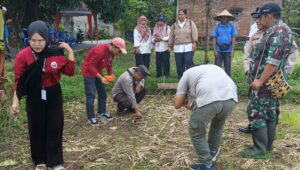 Sinergi Polsek Batulayar dan Warga Sandik Tanam Jagung Dukung Ketahanan Pangan