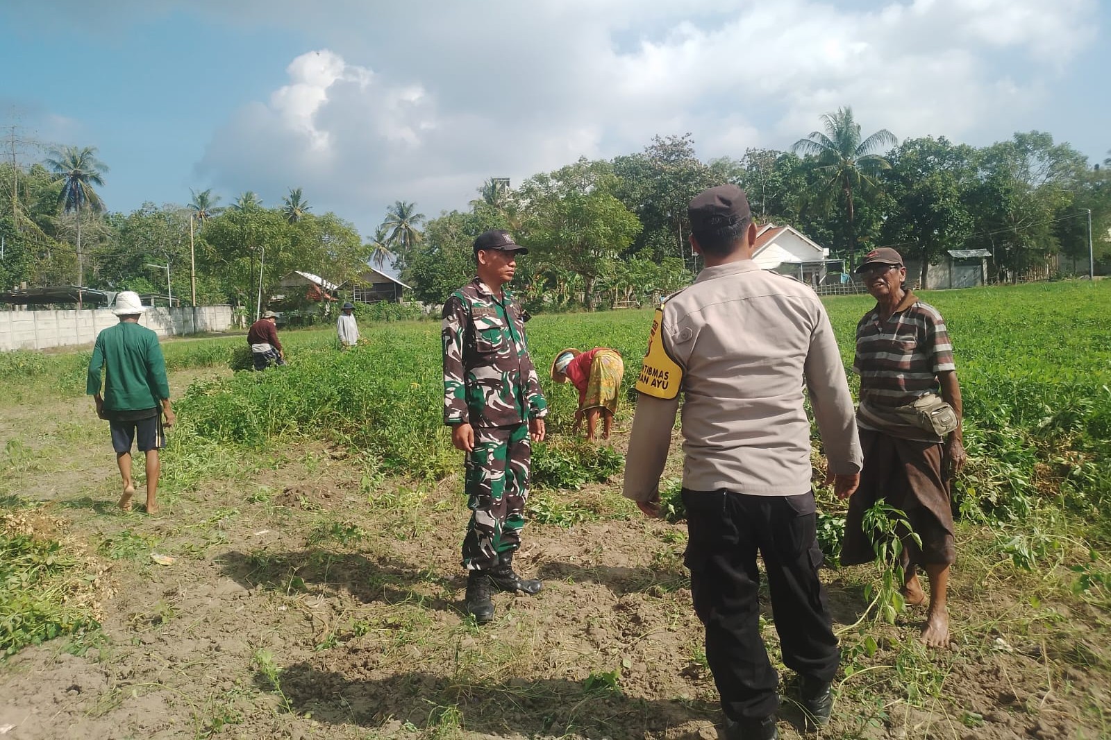 Sinergi TNI-Polri Dukung Ketahanan Pangan di Desa Taman Ayu, Gerung