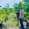 Polsek Lembar Dukung Ketahanan Pangan, Bhabinkamtibmas Beri Semangat Petani Jagung di Eyat Mayang