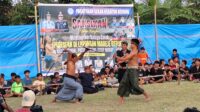 Tradisi Peresean di Gerung Utara, Ajang Regenerasi Pepadu Sasak