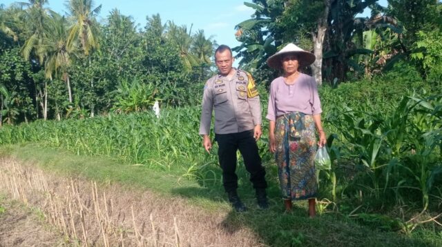 Kunjungan Humanis Bhabinkamtibmas di Kuranji, Pekarangan Jadi Sumber Pangan