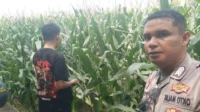 WhatsApp Image 2025-10-23 at 14.54.30_result Bhabinkamtibmas Turun ke Sawah, Petani Lombok Barat Kian Semangat