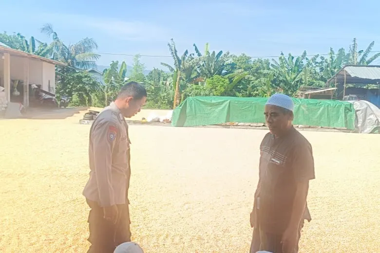 Sinergi Polisi dan Petani Jaga Pasokan Jagung di Lombok Barat